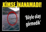 Boğaz'da şoke eden görüntü