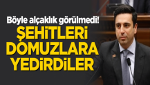 Böyle alçaklık görülmedi! Şehitleri domuzlara yedirdiler