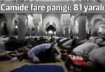 Camide fare paniği: 81 yaralı