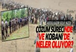 Çözüm sürecinde ve Kobani'de neler oluyor?