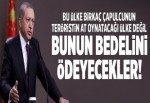 Cumhurbaşkanı Erdoğan: Bedelini ödeyecekler