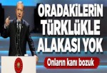 Cumhurbaşkanı Erdoğan: Onların kanı bozuk..