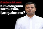 Demirtaş'tan Erdoğan'a yanıt