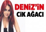 Deniz'in CİK ağacı!