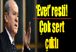 Devlet Bahçeli: Size mi soracaktım