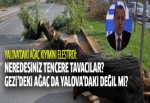 Erdoğan'dan Yalova'da ağaç kesimine tepki