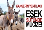 Eşek sütü kansere iyi geliyor!