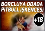 Gasp çetesinden pitbull işkencesi