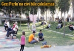 Gezi Parkı'na çivi bile çakılamaz