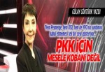 Gülay Göktürk: PKK için mesele Kobani değil