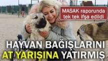 Hayvan bağışlarını at yarışına yatırmış! Masak raporunda tek tek ifşa edildi