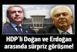 HDP'li Doğan ile Cumhurbaşkanı Erdoğan arasında sürpriz görüşme