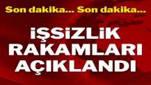 İşsizlik rakamları açıklandı