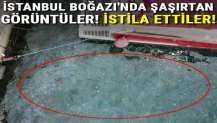 İstanbul Boğazı'nda şaşırtan görüntüler! İstila ettiler...