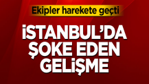 İstanbul'da kafatası ve iskelet parçaları bulundu! Görenler dehşete düştü!