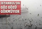 İstanbul'da 'sis' esareti! Göz gözü görmüyor