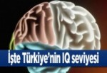 İşte Türkiye'nin IQ seviyesi