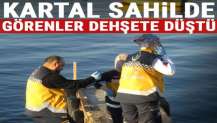 Kartal sahilde görenler dehşete düştü!