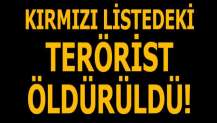 Kırmızı listedeki terörist İbrahim Çoban öldürüldü