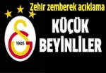 Küçük beyinliler