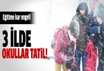 Malatya, Elazığ ve Adıyaman'da okullar kar nedeniyle tatil edildi