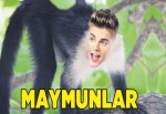 Maymunlar