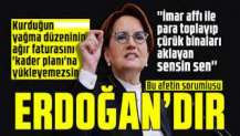 Meral Akşener: Bu afetin sorumlusu Erdoğan'dır