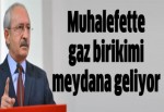 Nurettin Canikli: Muhalefette gaz birikimi meydana geliyor