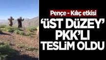 Pençe - Kılıç etkisi! "Üst düzey" PKK'lı terörist teslim oldu