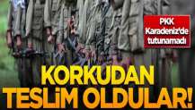 PKK Karadeniz'de tutunamadı! Korkudan teslim oldular