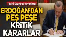 Resmi Gazete'de yayımlandı! Cumhurbaşkanı Erdoğan'dan peş peşe kritik kararlar