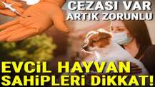 Resmi Gazete'de yayımlandı! Kedi, köpek ve gelincik sahipleri dikkat, cezası var