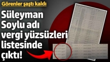 Süleyman Soylu adı vergi yüzsüzleri listesinde çıktı! Görenler şaştı kaldı