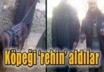 Taliban bu kez köpeği esir aldı