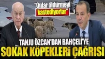 Tanju Özcan'dan Bahçeli'ye sokak köpekleri çağrısı.