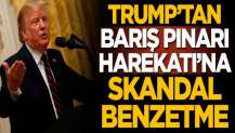 Trump'tan Barış Pınarı Harekatı'na skandal benzetme