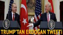 Trump'tan bir Erdoğan mesajı daha