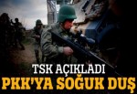 TSK açıkladı! PKK'ya soğuk duş