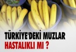 TÜRKİYE'DEKİ MUZLAR HASTALIKLI MI ?