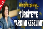 'Türkiye'ye yardımı keselim!'