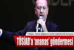 TÜSİAD'a 'ananas' göndermesi