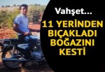 Vahşet... 11 yerinden bıçakladı... Boğazını esti