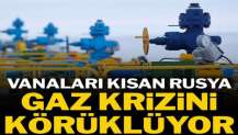 Vanaları kısan Rusya gaz krizini körüklüyor