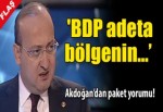 Yalçın Akdoğan: 'BDP bölgenin adeta...'