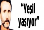 'Yeşil yaşıyor'