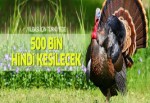 Yılbaşında 500 bin hindi kesilecek