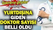 Yurtdışına giden doktor sayısı belli oldu. Giderlerse gitsinler denilmişti