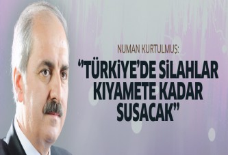 Türkiye'de silahlar kıyamete kadar susacak