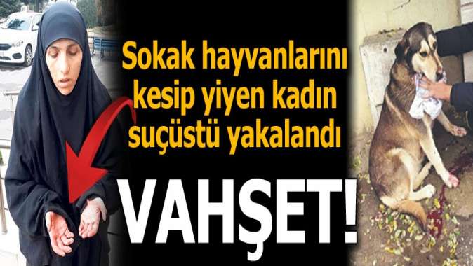 Vahşete suçüstü