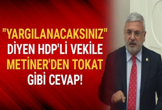 Yargılanacaksınız diyen HDP'li vekile Metiner'den tokat gibi cevap!